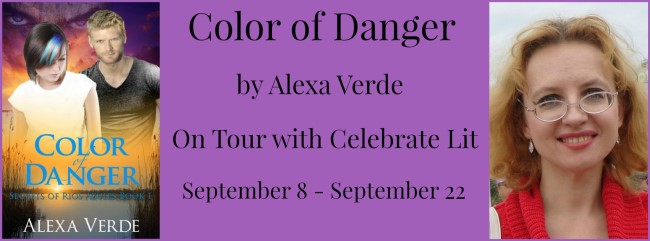 color-of-danger-banner